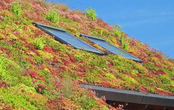 Hass living roof systems