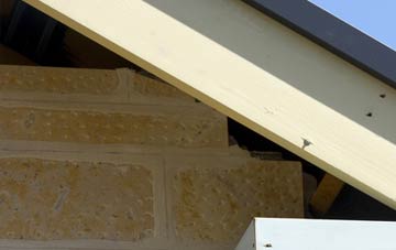 soffit repair Hass