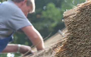 professional Hass thatchers